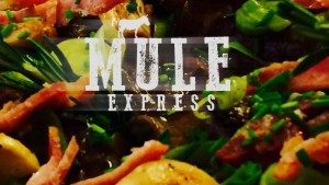 Mule Express Catering for Events / Parties - Bridport