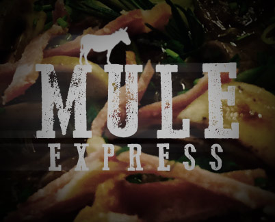 Mule Express - Hungry Mule Catering Bridport Dorset